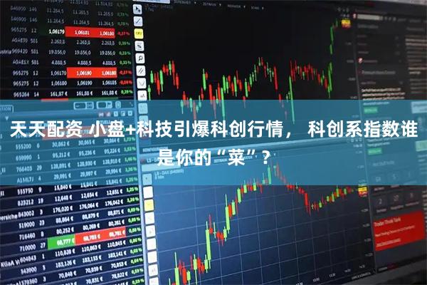 天天配资 小盘+科技引爆科创行情， 科创系指数谁是你的“菜”？