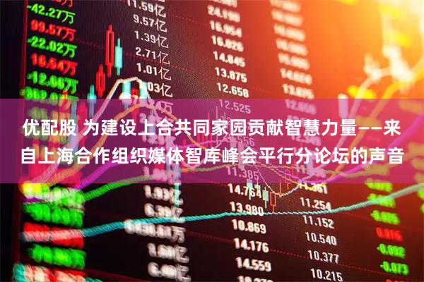 优配股 为建设上合共同家园贡献智慧力量——来自上海合作组织媒体智库峰会平行分论坛的声音