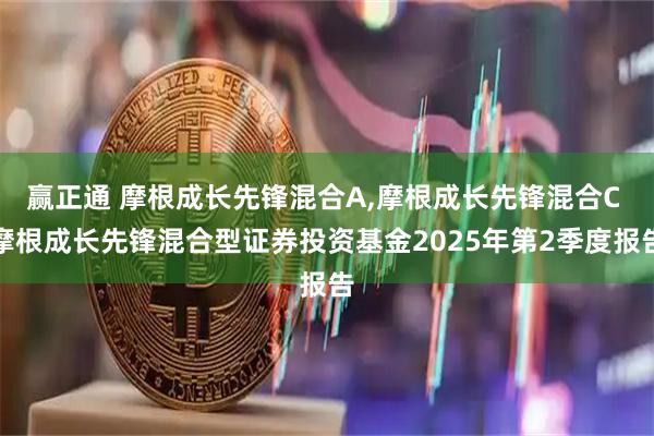 赢正通 摩根成长先锋混合A,摩根成长先锋混合C 摩根成长先锋混合型证券投资基金2025年第2季度报告